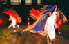 Denison Performance